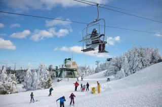 ML320 Light And Bright EZ Access To Village And Slopes WiFi - Snowshoe - 1