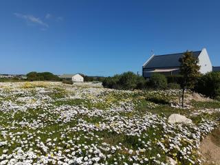 Silver Oaks Airbnb - Langebaan - 9