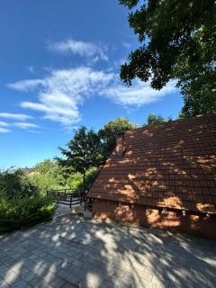 Villa Mali Stanishor - Novoberdo - 6