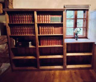 #1 Lakeview Paradise in Mazury, pets welcome - Kosewo - 2