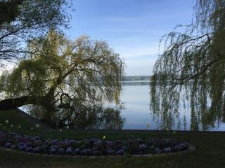 Fewo Villa Zwick An der Kietzbrücke - Waren - 4