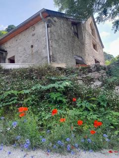 Gîtes Estivade à Lourdios - Lourdios-Ichère - 8