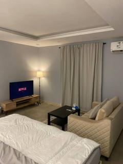 استديو فخم في الربيع 14 - 7