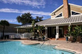 Free Pool & GYM 1 MI to USF - Tampa - 8