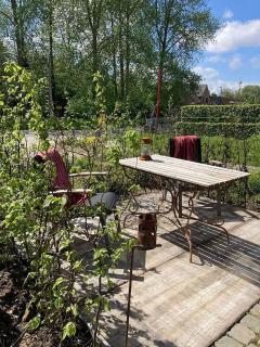 B&B Den Biesthoek - Grimbergen - 6