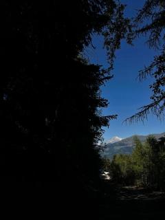 Appartamenti Grivola - Aymavilles - 9