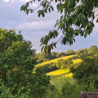 Nuthatch Retreat - Modern rustic ecohome with views - Blakeney - 9