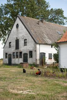 Gastenverblijf Begheynhof - Biervliet - 6