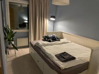 Lapland Forest Home - Rovaniemi - 1