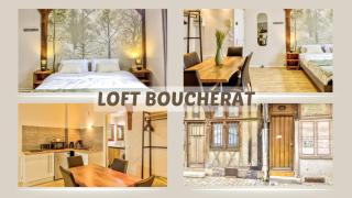 Le Loft Boucherat - Hypercentre - 2 pers - Troyes - 9