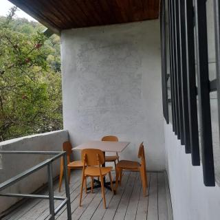 Dilijan guest house - Dilijan - 1