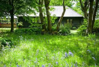 All Saints Cottage - secluded cottage with garden, 15 min walk to pub - Woodborough - 8