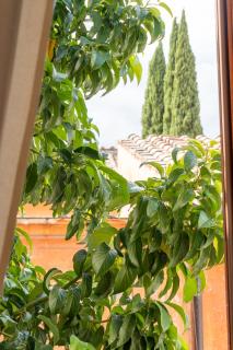 Beyond the Tiber Trastevere Apartment - Rome - 5