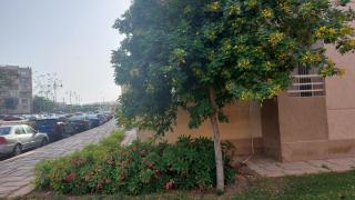 Luxury apartment in Madinaty - Madinaty - 7