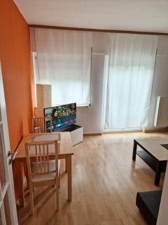 Apartment Nr 4 - Gaisburg - 9