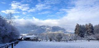 Ferienwohnung Waldgeflüster - 9
