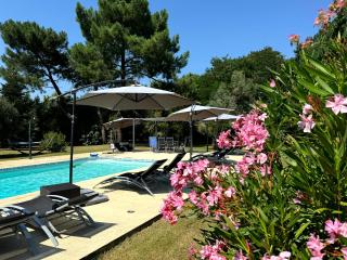 Les Terrasses des Mimosas - 9