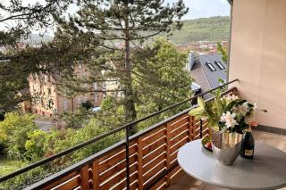 Terrassenapartment - Bad Mergentheim - 0