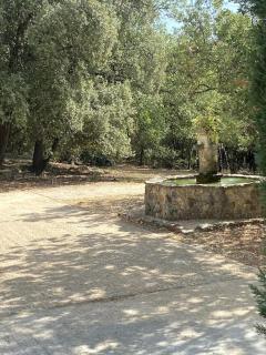 Hacienda - Lorgues - 6