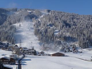 Ferienwohnungen Rupertihaus - 4