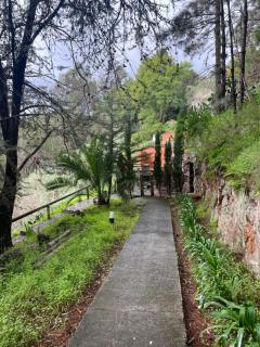 Finca El Lance Zumacal - Firgas - 4