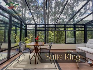 Araucária Lodge - Campos do Jordão - 1