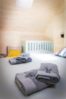 La Cabane des Prés - Ban-sur-Meurthe-Clefcy - 5