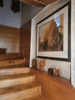 House Violeta - 7
