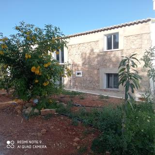 Casa Terapia - Loulé - 5