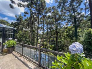 Araucária Lodge - Campos do Jordão - 5