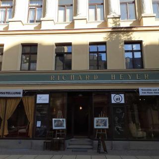 Heyerhaus Greiz - Greiz - 4