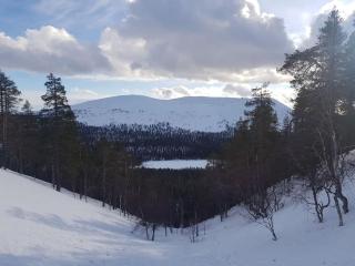 Forest Ranger's House, Authentic Lappish atmosphere - 9