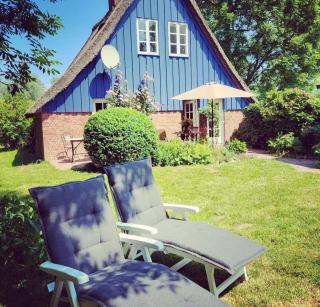 Die blaue Reetdachkate am Deich - - 9