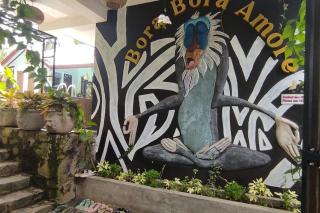 Bora Bora Villa - Hikkaduwa - 4