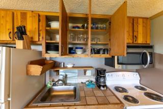 ML152 Mountain View Slope Side Retreat Near Village WiFi - Snowshoe - 2