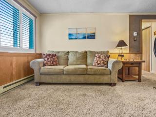 ML169 First Floor No Steps End Unit WiFi EZ Parking - Snowshoe - 8