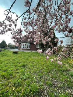 Ferienhaus Butjadingen - Haus Ruhwarden - Ruhwarden - 9