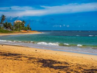Olas Del Mar Beach Apartment - Luquillo - 1