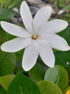 Tehei Beach House Wifi AC Beachfront Sunset - 4