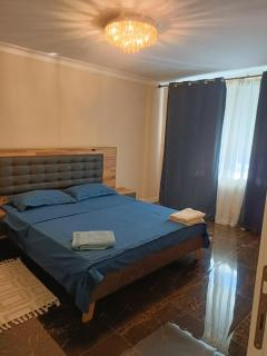 Residence Manu Targu Neamt - Târgu Neamț - 9