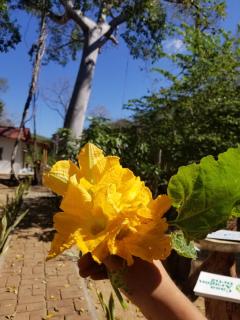 Casa Aragón Ortíz - 7