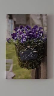 VIOLA apartment Zlatiborski konaci - 9