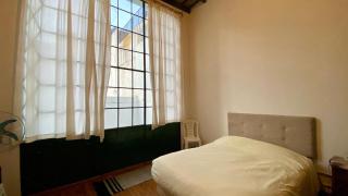 La Casa del Loro, San Telmo - 8 habitaciones - Buenos Aires - 8
