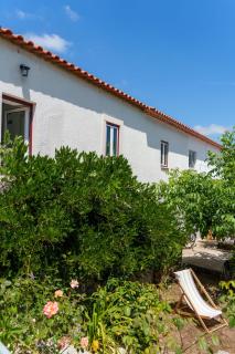 Casa Alba - Alvados - Alvados - 2