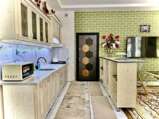 Duplex80A - Taschkent - 1
