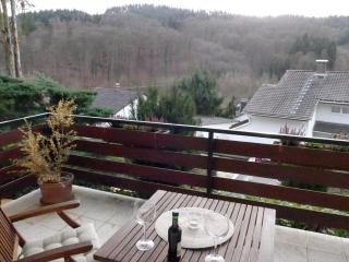 Ferienwohnung Familie Kreckel - Weinheim - 9