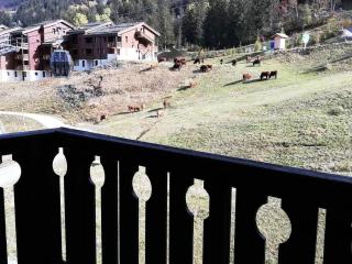 Résidence Lauzes G - LAUZES 24 MAE-6031 - Valmorel - 3