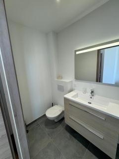 Studio avec WC et SDB privés dans Grande maison à côté du campus Artem - Thermal et Parc des Expos - Vandoeuvre-lès-Nancy - 4