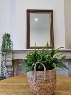 Le Vauban Cambrai - 2