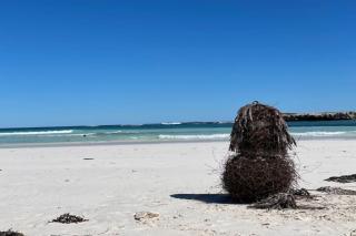 Boathouse - Highest Hilltop On Oceanfront - Lancelin - 1